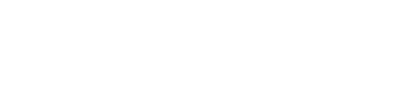 Crunch Analytics logo