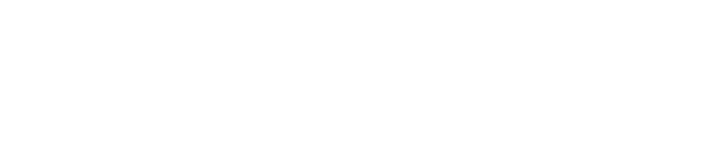 Crunch Analytics logo